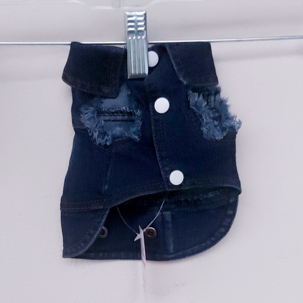 Pomeranean dogs blouse